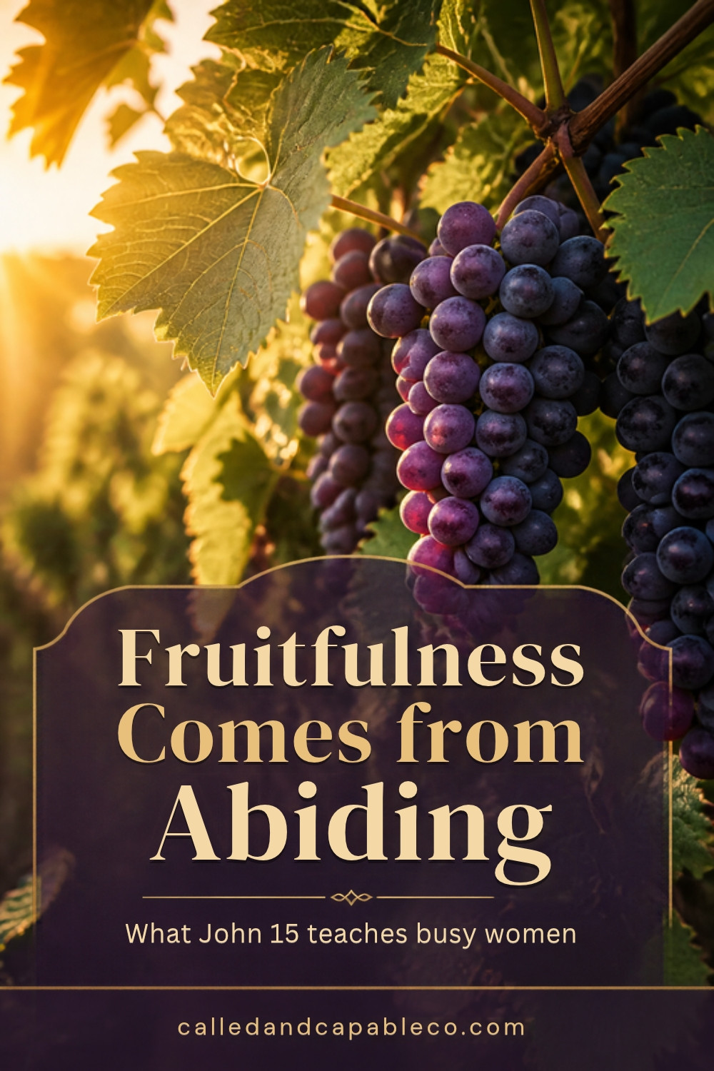 Abiding in Christ: What John 15 Teaches About a Fruitful Life