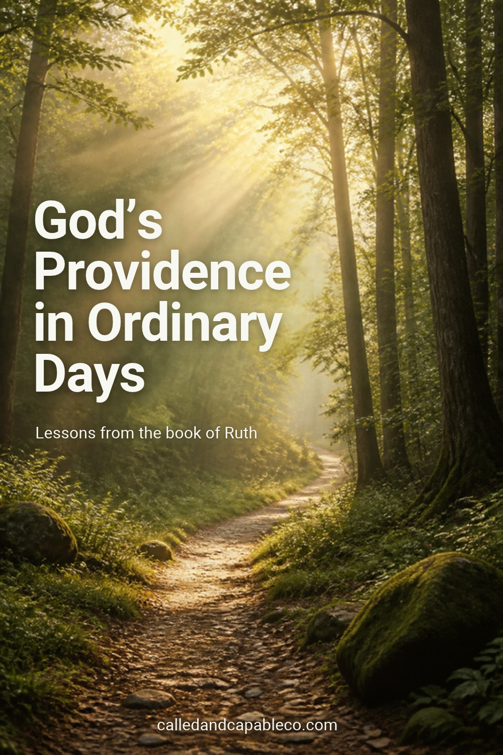 God's Providence in Ordinary Days: Lessons from Ruth